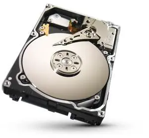 Seagate 1TB Constellation SATA 6Gb/s 64MB Cache 2.5-Inch Internal Bare Drive (ST91000640NS)