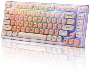 Womier X75 75% Wireless Mechanical Keyboard, Hot Swappable Computer Creamy Keyboard, Foundation Jelly Keycaps, Pre-lubed Switches Gasket Mount RGB Backlit Gaming Keyboards for Win/Mac, Pink