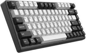 ARBITER Polar 75 - Magnetic Gaming Keyboard - Rapid Trigger w/SOCD Super Tap, CNC Aluminum Frame, Gen 2 Hall Effect Switches, Volume Knob, RGB, Dye-Sub PBT Keycaps - Black Panda