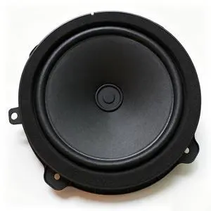Leezhen Front or Rear Speaker Compatible with 2010-2013 Kia Soul 96330-2K000 Leezhen Front or Rear Speaker Compatible with 2010-2013 Kia Soul 96330-2K000