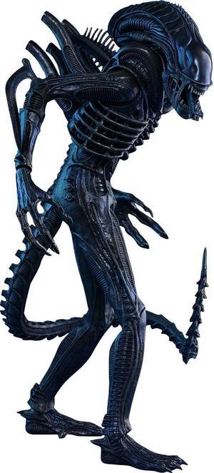 Figure Hot Toys MMS354 - Aliens - Alien Warrior