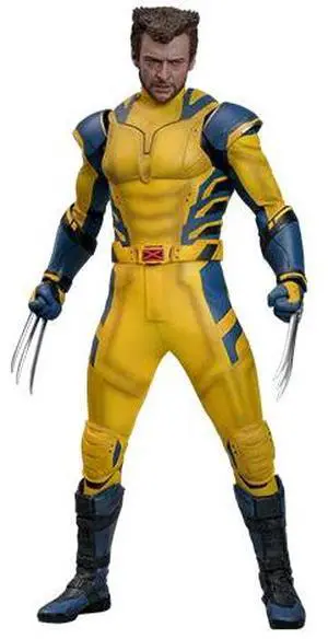 Figure Hot Toys MMS754 - Marvel Comics - Deadpool & Wolverine - Wolverine Deluxe Version
