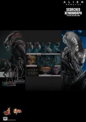 Figure Hot Toys MMS784 - Alien : Romulus - Scorched Xenomorph