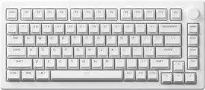 Mechanical Gaming Keyboard MOD 007B PC, 75% Layout Gasket Mounted White Wireless Keyboard Cherry Profile V3 Pro Piano Switch