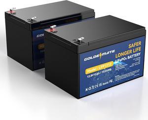 12V 12Ah Lithium LiFePO4 Deep Cycle Battery 2 Pack, 5000+ Cycle Rechargeable Lithium Iron Phosphate Battery for Solar, Fish Finder, Power Wheels, Lighting, with 12A BMS