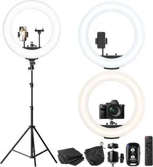 Ring Light with 72'' Stand, 65W Large Ring Light with Phone Holder, Dimmable LED Light for Makeup Barber Stylist Tattoo YouTube TikTok Photography