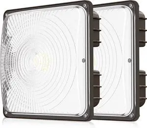 40W LED Canopy Lights UL Listed, 100-277V Commercial Canopy Lights Outdoor IP65 Waterproof, 5600LM for Gas Station Garage Warehouse Shop Carport Industrial, 9.5"x9.5" 5000K Daylight 2 Pack