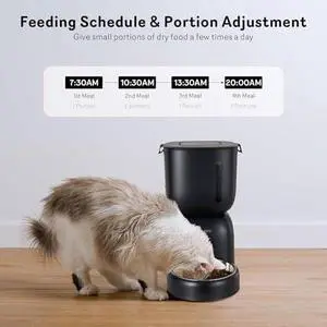 Automatic Cat Feeder and Water Dispenser FW1 - Wire or Battery Food Timer With Locking Lid, Desiccant Bag, Programmable Portion Control, 4 Daily Meals, 10s Voice Recorder