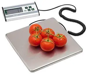 Products 330 lb. Stainless Steel Digital Scale, Silver