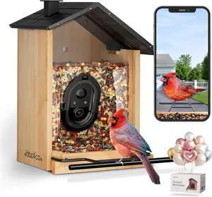 Bird Feeder with Camera,  Smart Bird House Cam with Instant Arrival Alerts, AI Identies 10,000+ Species & Free Cloud Video, Suitable for Birdwatching (Powered by Birdty App)