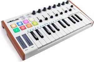 Midi Controller,  Worlde TUNA PANDA MINI 25 Keys Portable USB Midi Keyboard with 8 RGB Backlit Colorful Drum Beat