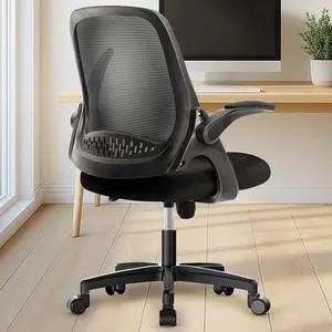 Office Desk Chair Computer Gaming Ergonomic Lumbar Back Support with Flip-up Padded Armrest Adjustable Height and Wheels for Home Vanity Bedroom Study (All Black)