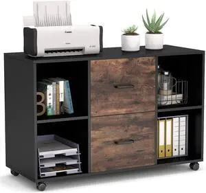 2 Drawer File Cabinet, Large Mobile Lateral Filing Cabinet for Letter Size, Printer Stand with Storage Shelves and Rolling Wheels Home Office (Black/Rustic) by DT