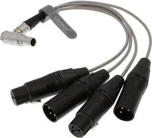 10 Pin Male Plug to 4 XLR 3 Pin Breakout Audio Input Output Cable for Atomos Shogun Monitor Recorder Audio Splitter 30cm