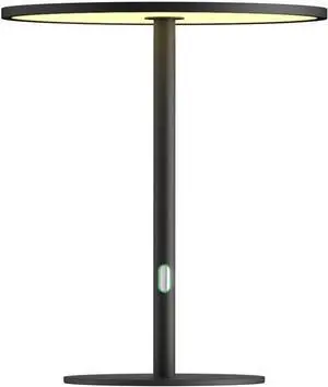 Ultra-Thin Minimalist LED Desk Lamp - Modern Office & Bedroom Light - 150 LED CRI96+ Dimmable w/Memory - 10W Eye-Caring for Home, Living Room, Study (Black)