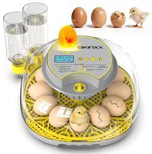 Incubator for Hatching Eggs-12 Egg Capacity, 2026 Newly Upgraded Automatic Egg Turner, Temperature & Humidity Control, 360° Viewing for Chicken, Duck and Quail Eggs (Grey) Incubator for Hatching Eggs-12 Egg Capacity, 2026 Newly Upgraded Automatic Egg Turner, Temperature & Humidity Control, 360° Viewing for Chicken, Duck and Quail Eggs (Grey)