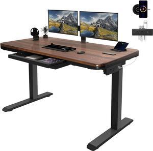 Wood Standing Desk with Drawer 45" Dual Motor Electric Height Adjustable Desk Whole-Piece Easy Assembly Sit Stand Desk with Touchscreen Controller&Wireless Charging &USB Port& Power Strip
