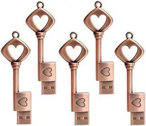 LEIZHAN Metal Key USB Flash Drive 5 Pack 16GB Love Heart Shape Thumb Drive USB Computer Memory Stick Pen Drive Graduation Gift Pendrive