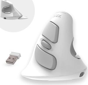 DeLUX Rechargeable Ergonomic Wireless Mouse Silent, 1600DPI, Reduce Hand and Wrist Pain, Vertical Mouse with USB Receiver and BT 5.0, 6 Buttons and Removable Palm Rest (M618G DB-White)