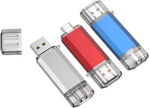 RAOYI 3 Pack 64GB USB C Flash Drive, 2 in 1 USB 3.0 Type C Dual OTG Metal Thumb Drive Jump Drive Memory Stick with Keychain Suitable for USB-C Smartphones, Computers and Tablets (Red,Silver,Blue)