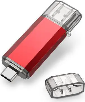 RAOYI 256GB USB C Flash Drive Upgraded 130MB/s 2 in 1 USB 3.1 Type C Dual OTG Metal Thumb Drive Memory Stick with Keychain Suitable for USB-C Smartphones, PC, Macbooks and Tablets (Red)