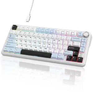 HELLO GANSS 75% Wired Hot Swappable Mechanical Keyboard with Metal Knob | Mount Gasket | Programmable RGB Backlit & Adjustable Side Lighting (Peach Linear Switch)