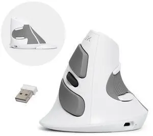 DeLUX Rechargeable Ergonomic Wireless Mouse Silent, 1600DPI, Reduce Hand and Wrist Pain, Vertical Mouse with USB Receiver and BT 5.0, 6 Buttons and Removable Palm Rest (M618G DB-White)