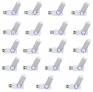 lcwamy 8GB Flash Drives 100 Pack USB Flash Drive Bulk Pack USB Memory Stick 8GB USB Flash Drive Thumb Drive USB Drives Pack
