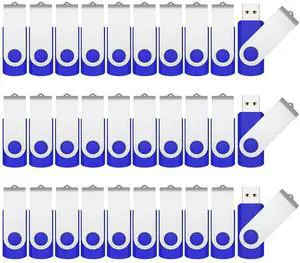RAOYI 50 Pack 4GB USB Flash Drive, USB 2.0 Memory Stick Bulk Thumb Drives Pen Drive Zip Drive Bundle-Blue