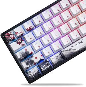 XVX PBT Japanese Keycaps, Shine Through White Keycap, Plum Blossom Custom Keycap Set 127 Keys, Doubleshot Key caps, Cherry Profile Keyboard Keycaps for Cherry Gateron MX Switches Mechanical Keyboards