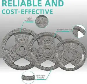 Barbell Weight Set, Cast Iron 1" Standard Weight Plates Including 5FT Standard B