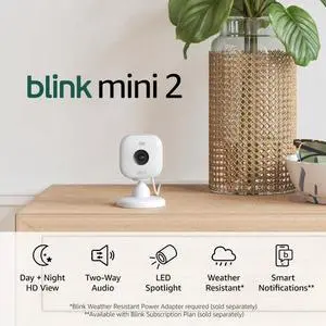 Mini 2 (Newest Model)  Home Security & Pet Camera(S) with HD Video, Color Night
