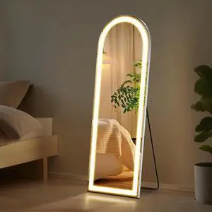 60"x16" Full Length Mirror with LED Light for Bedroom Dressing Cloakroom Arched