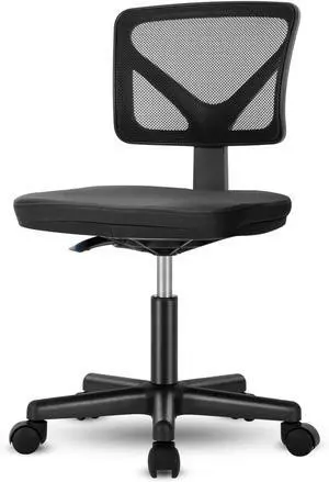 Mesh Home Office Chair with Lumbar Support Comfortable Seat Computer Chair Black