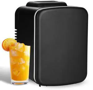 Mini Fridge 4L/6 Can Portable Cooler & Warmer Refrigerator for Food Drinks Black