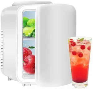 4L Mini Fridge 6 Can Portable Cooler & Warmer Compact Refrigerators