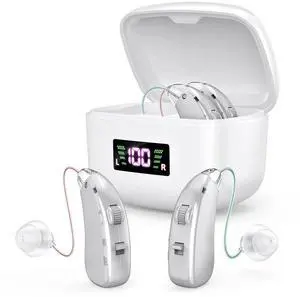 1 Pair Mini Hearing Aids With Rechargeable Case For Seniors with Hearing Loss