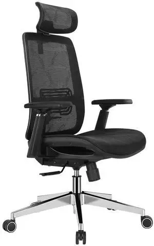 Ergonomic Office Chair with Adjustable Lumbar Support, Mesh Back & Headrest