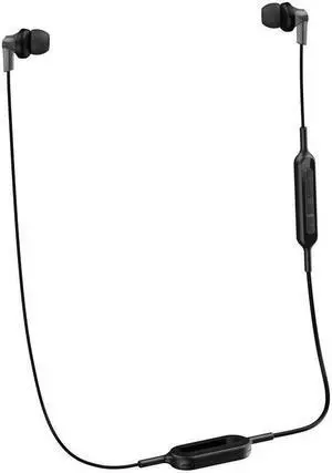 Panasonic Bluetooth Earbud Headphones with Microphone, Call/Volume Controller and Quick Charge Function - RP-HJE120B-K - in-Ear Headphones (Black)