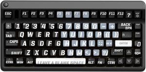 PBT Pudding Keycaps, Raving Theme Keycaps, 120 Keys Sublimation Keycap Set, ASA Profile Custom Keycaps for Cherry Gateron MX Switch Mechanical Keyboard