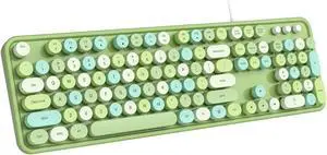 Dilter Wired Keyboard, 104 Keys Full-Sized Typewriter Keyboards, USB Plug Play Office Keyboard with Number Pad, Caps Indicators, Foldable Stands for Windows, PC, Laptop, Desktop (Green Colorful)