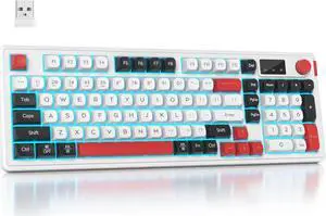 Mosptnspg RGB mechanical feel membrane wireless keyboard, wired/Bluetooth/2.4G silent ABS ball cap gasket structure gaming office keyboard for PC/Mac/Win(98 White)