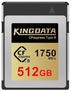KINGDATA CFexpress Type B 512GB Memory Card, Up to 1750MB/s Read, RAW 8K Video and Photo, Memory Cards for Camera, Professional Photography