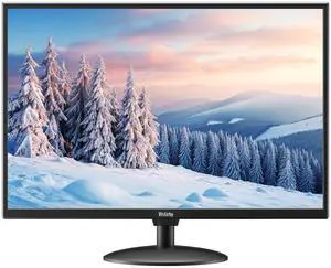 Wstirhy 19 inch Monitor 1440x900 Desktop Monitor 16:10 Screen with HDMI VGA AV BNC USB Port, 60Hz, VESA, Remote Control, Built-in Speaker, Display for PC Computer Laptop