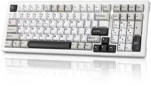 Wireless Game Mechanical Keyboard BT5.0/2.4GHz/USB-C, Multi-Color LED with 18+ Modes, Hot-Swappable Custom Keyboard, Red Creamy Switches, Gaming Keyboard for PC/Mac (Black White)