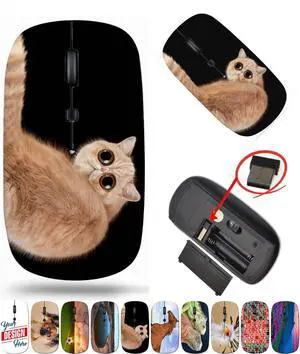 maizi Mouse Wireless for Mac Laptop PC Chromebook, Mouses Wireless Image ID: 26227899 Funny Surprised cat Exotic Domestic 2.4G Lightweight with USB Receiver Printed in USA