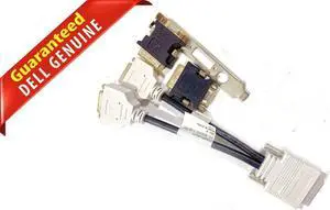 Dell DMS-59 TO 2xDVI Female Video Splitter Cable R116N 6502A002