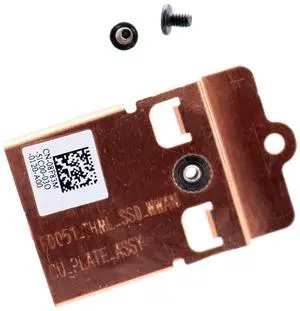 Dell Alienware M15 R3 R4 M.2 SSD Solid State SSD3 Heatsink 8F83M