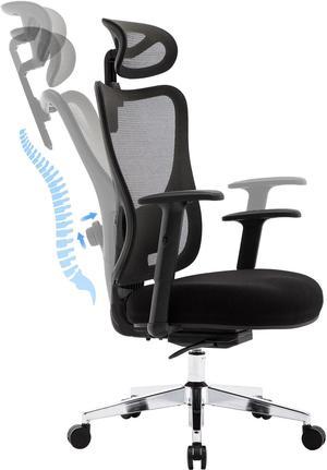 Hbada Ergonomic Office Chair with 2D Adjustable Armrest, Office Chair with 2D Adjustable Lumbar Support, Computer Chair with Tilt Function, Desk Chair