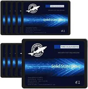 SSD 2.5 SATA III 64GB Dogfish High Performance Internal Solid State Drive for Desktop Laptop 10 Unit Package Pack [64GB(10 Packs),2.5-SATA3]